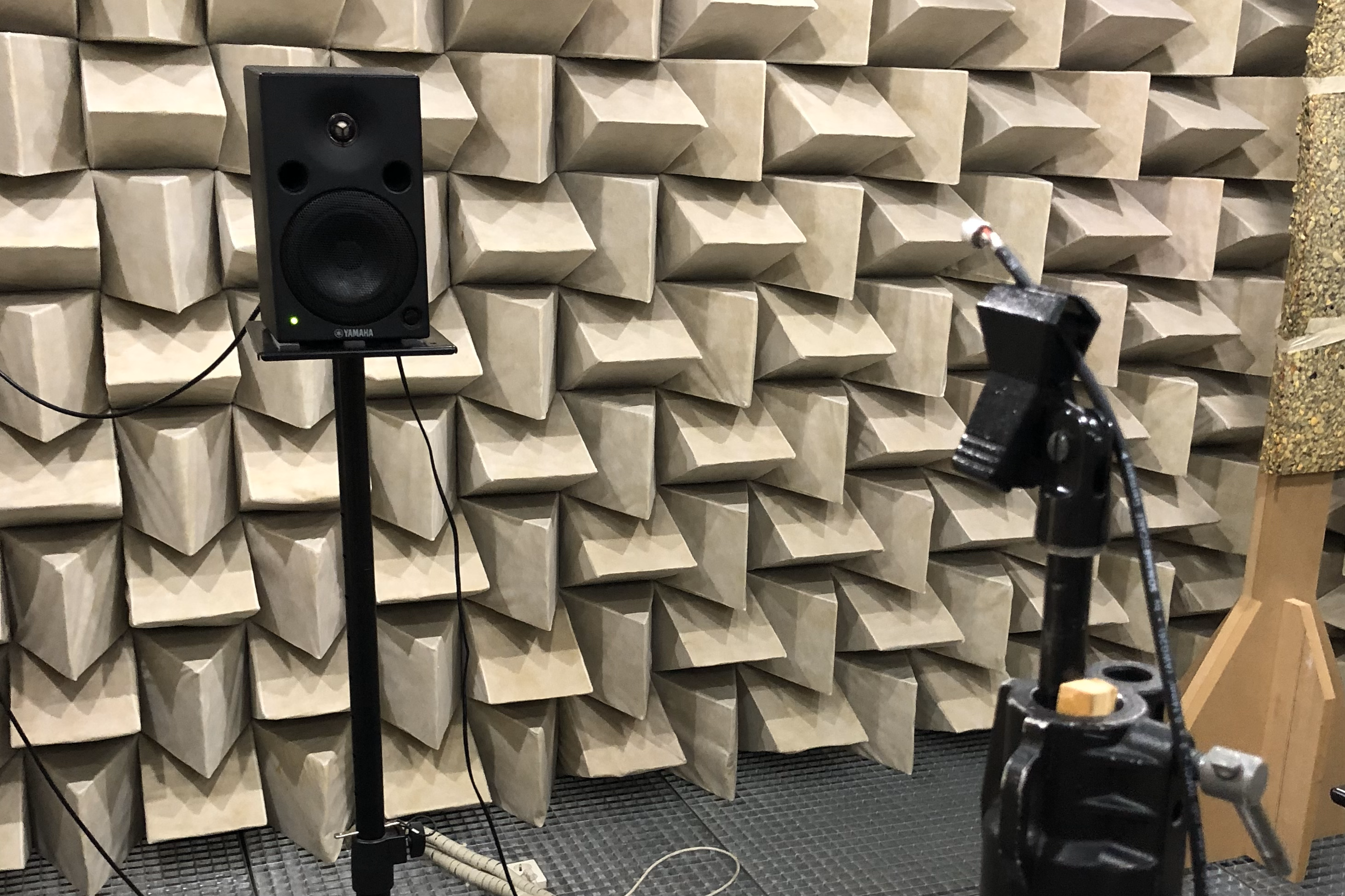 Custom microphone and preamplifier design